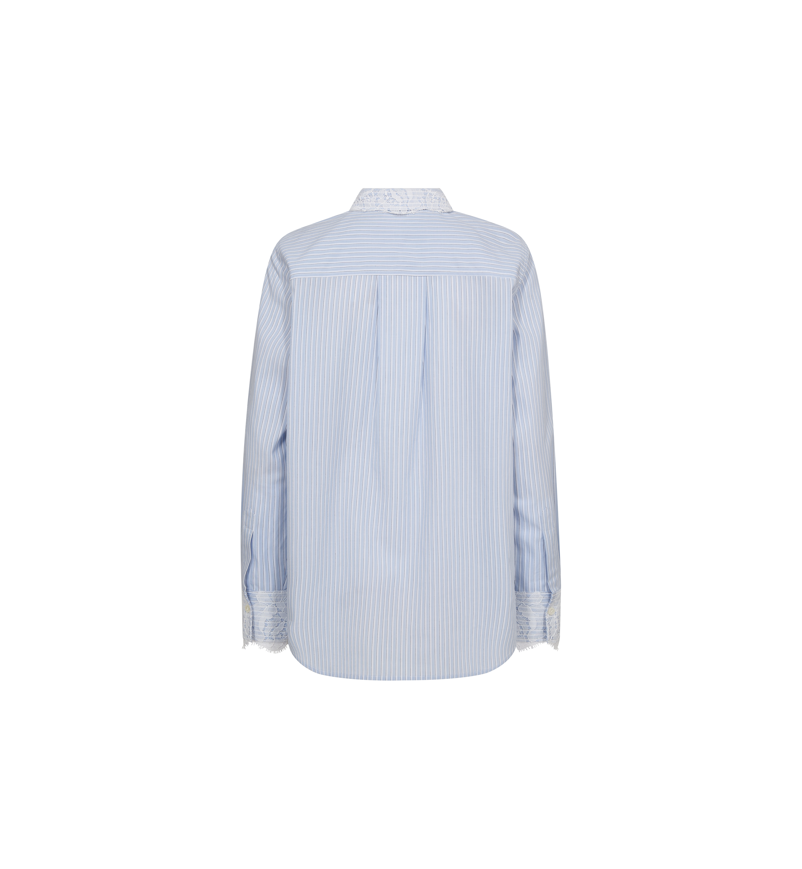 Packshot / Brunnera Blue / Back